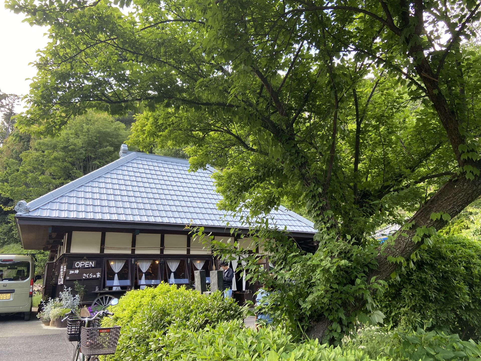 舞岡　さくらの家　古民家喫茶店
